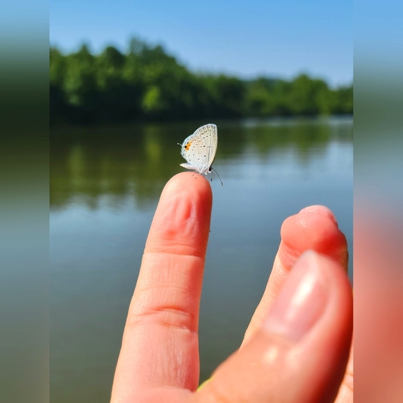 Meet your Posher, Kat 🙃 - Picture 12 of 12